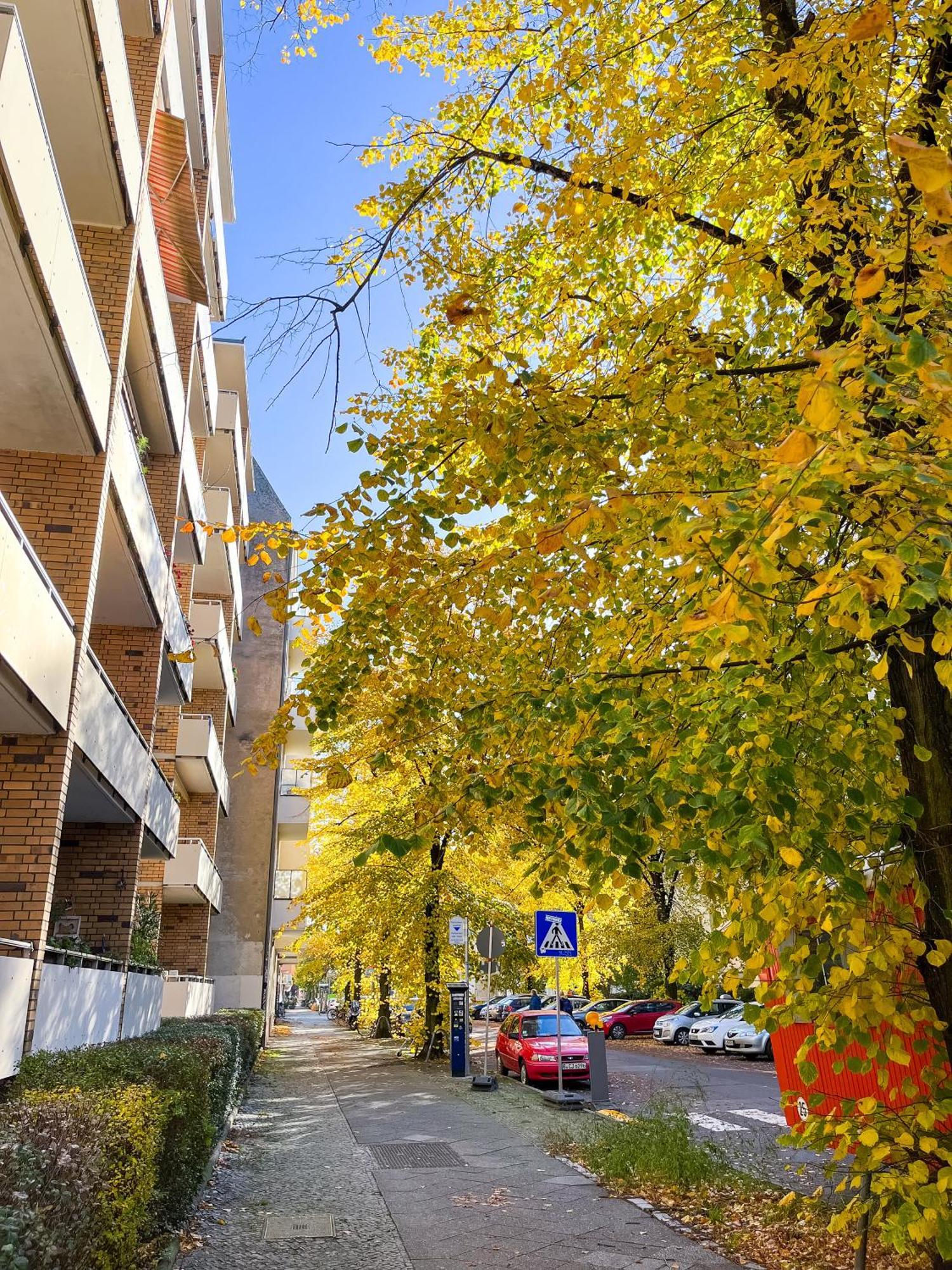 Appartement 01 Bedroom In Mitte-up To 5 People-private Free Parking *